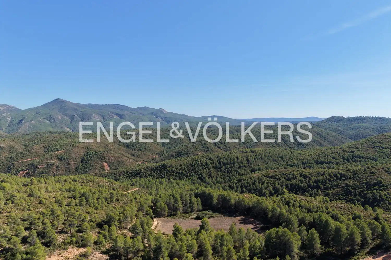 Terrain rustique à vendre à Requena, imagen 39