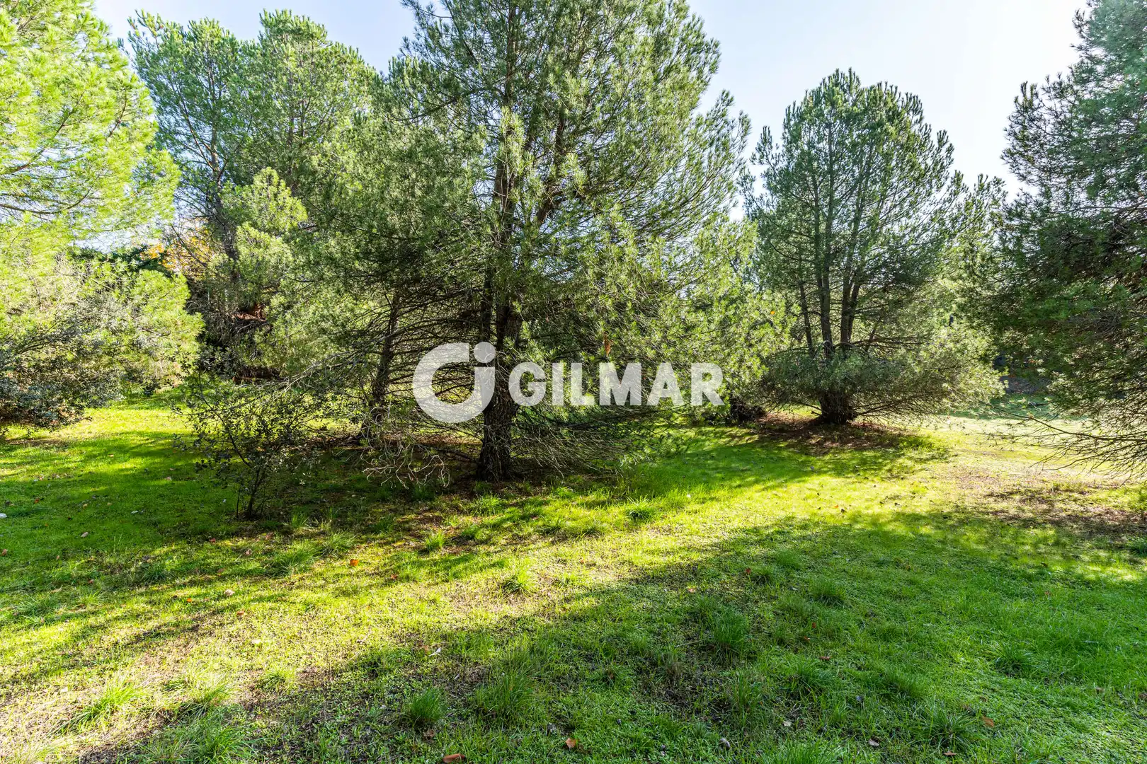 Casa o xalet en venda en Monte Rozas