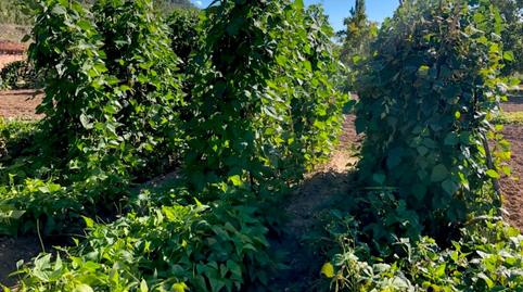 Foto 5 de Finca rústica en venta en Torre del Compte, Teruel