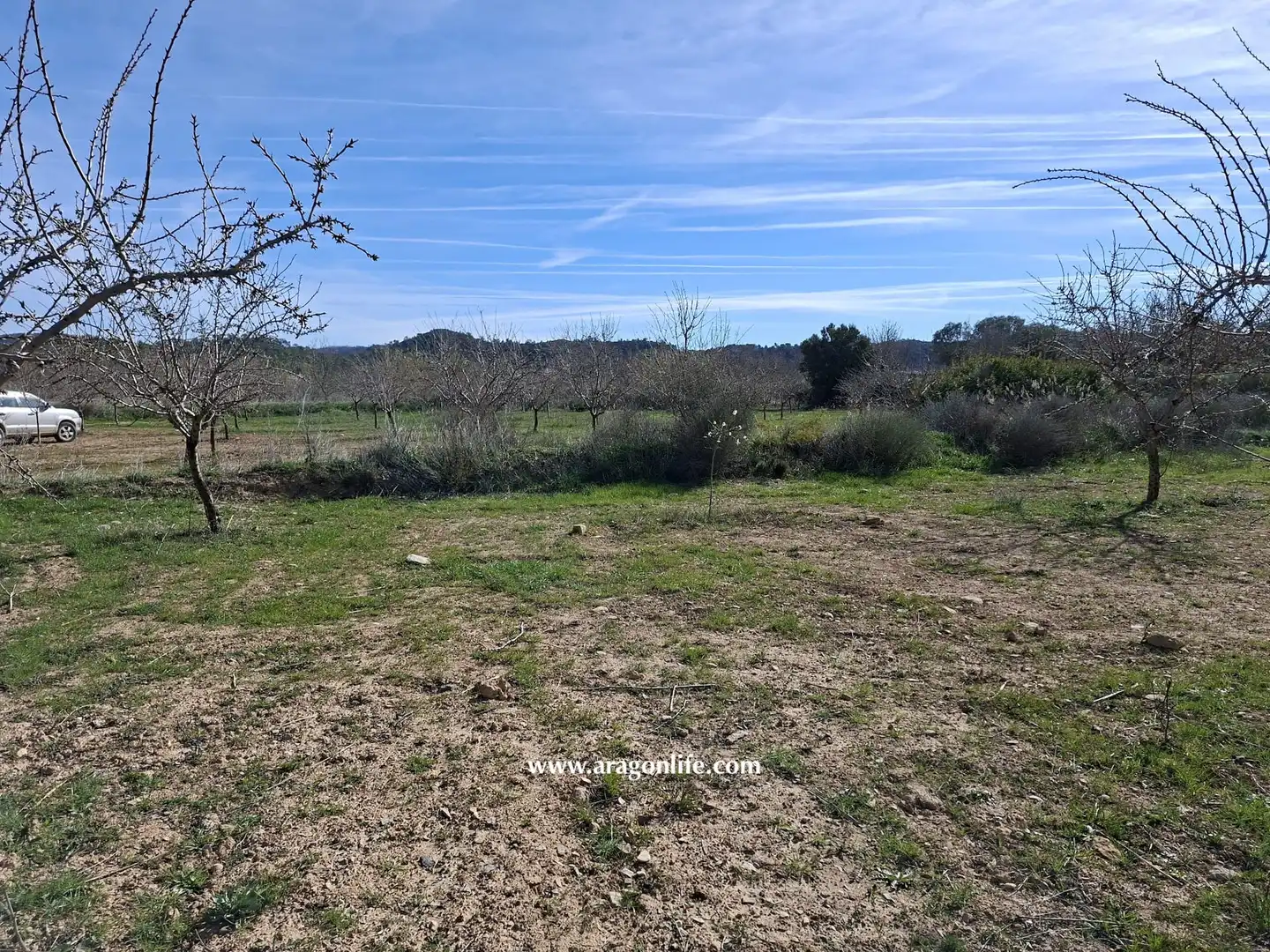 Land for sale in Fabara