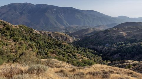 Terreno en Venta en la Alpujarra, Cañar Oportunidad Única en Entorno Rural Encantador, immagine 5