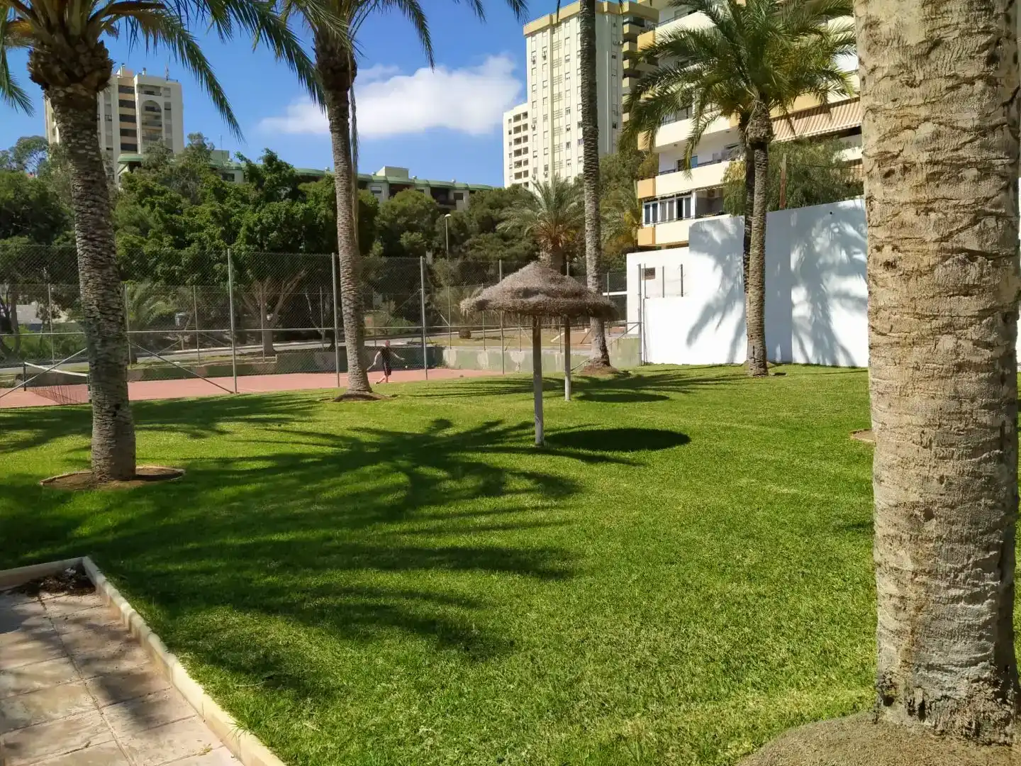 Garden of Study for rent in Aguadulce