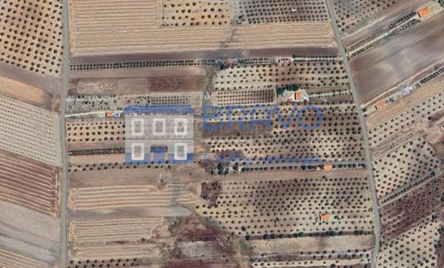 Terreno en Venta en La Haba