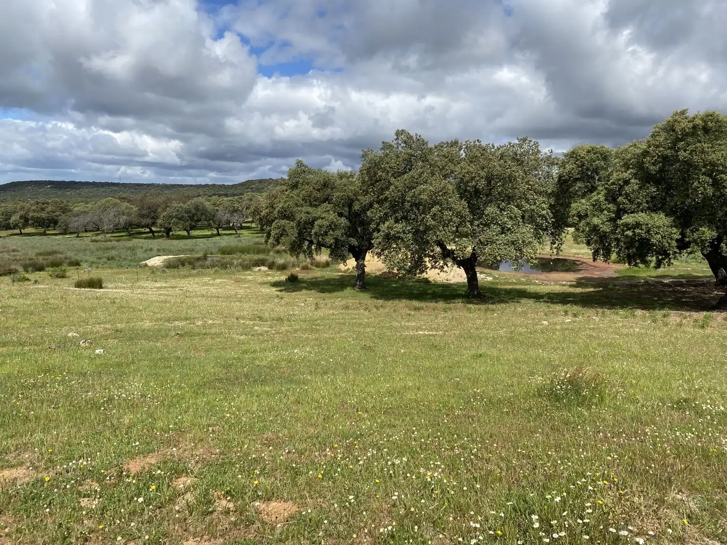Terreno en venta en Deleitosa