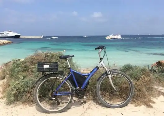 Vista exterior de Casa o chalet en venta en Formentera con Jardín privado, Terraza y Piscina