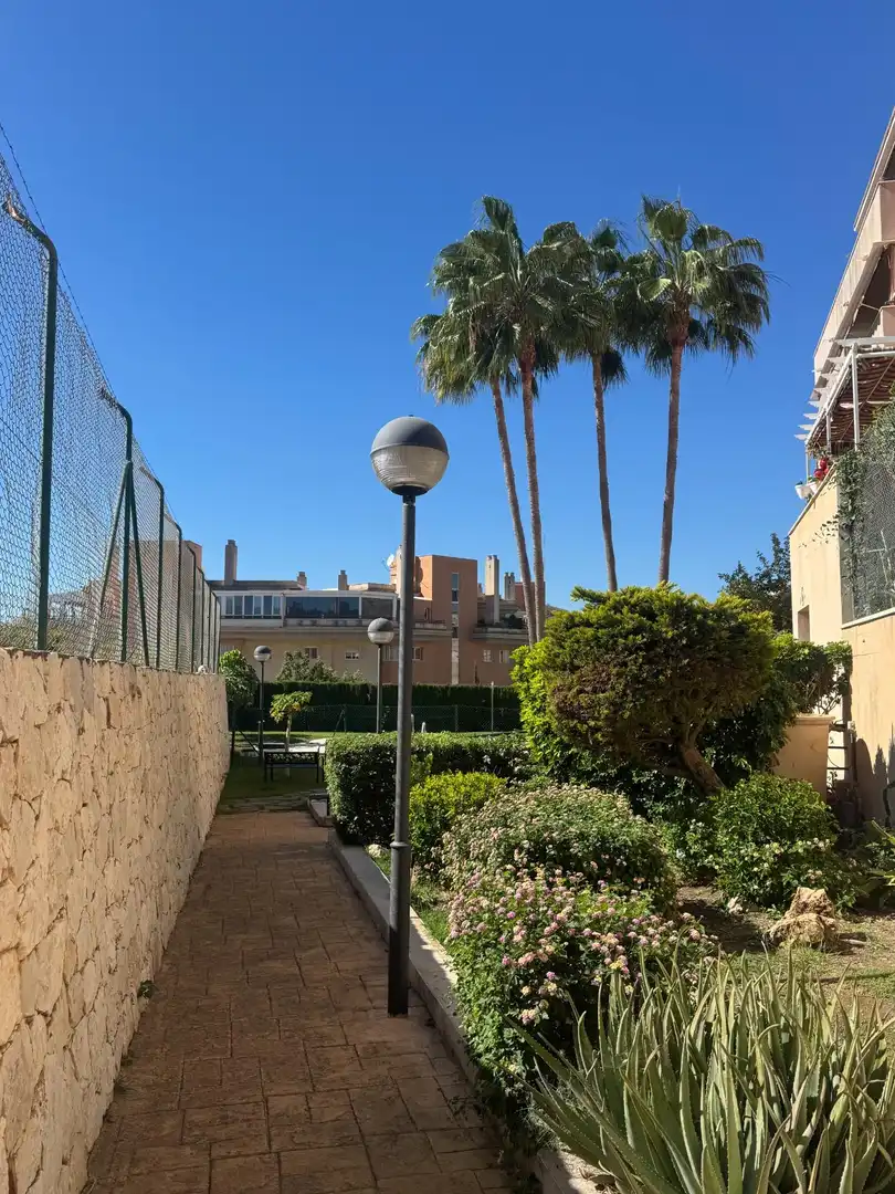 Ground floor for sale in Calle JOSE CARRION DE MULA, 8, San Alberto - La Alcubilla - Florisol