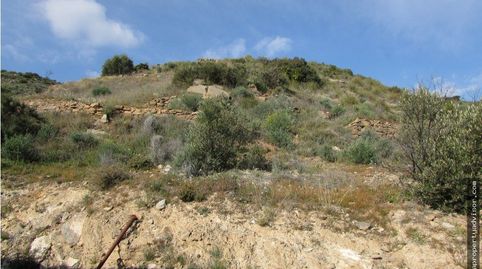 CORTIJO FUENTE DEL ALBARICO, imatge 2