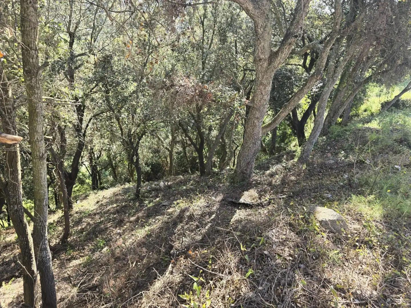 Residential land for sale in del Garrofer 7, imagen 8