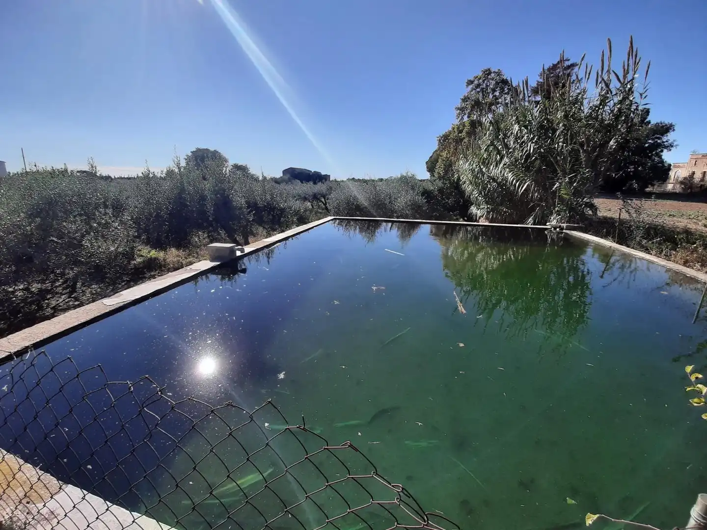 Piscina de Finca rústica en venda en Reus