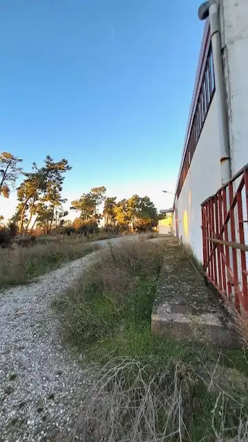 Industrial building for sale in Calle Camino del Cementerio 12X, imagen 9