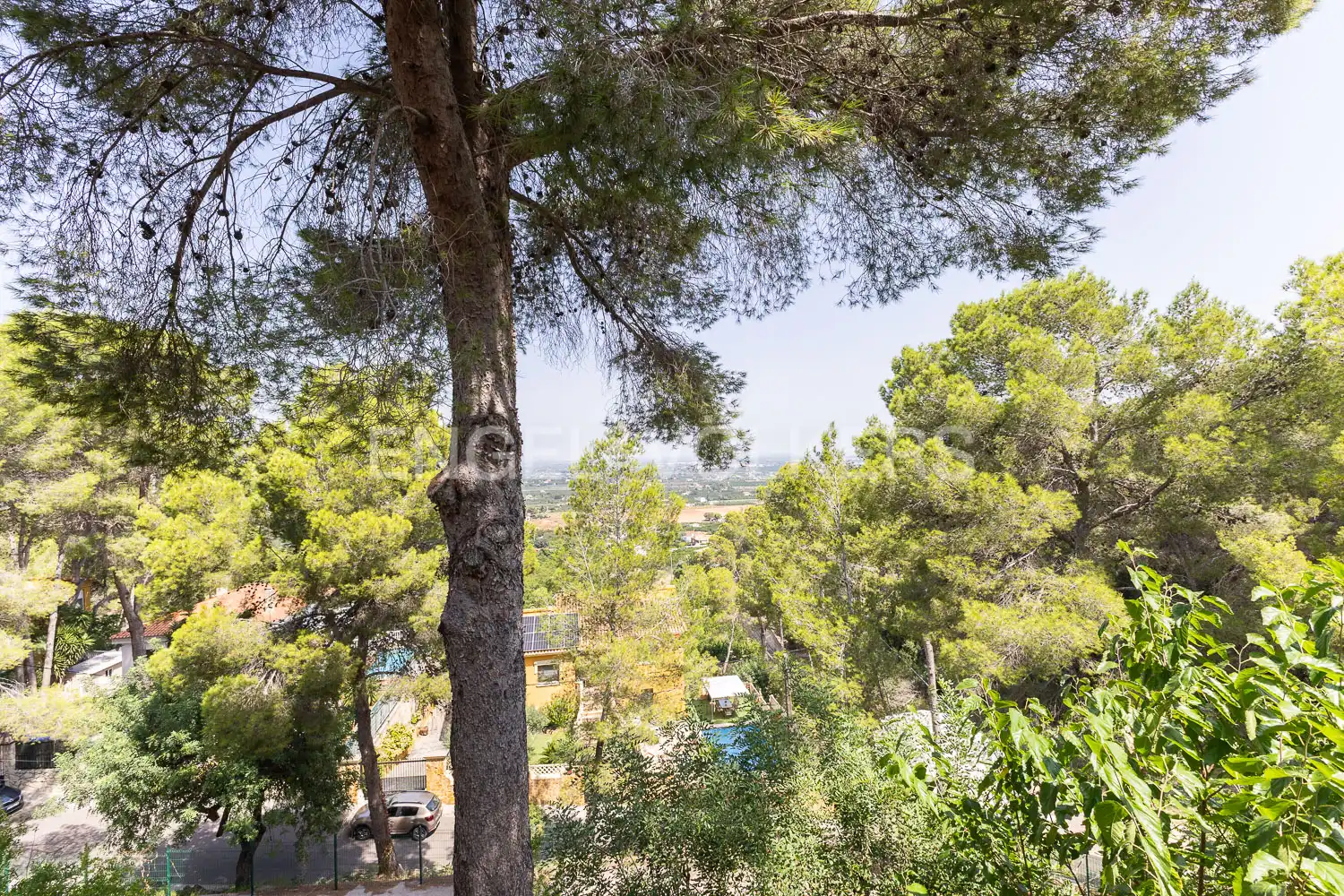 Vista exterior de Casa o chalet en venta en Alzira con Calefacción, Jardín privado y Parquet