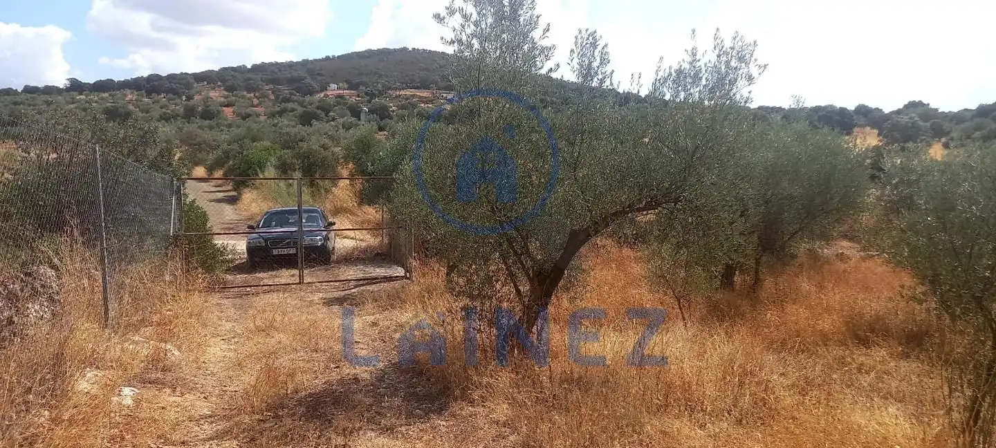 Wohnbaugrundstück zum Verkauf in La Granjuela, imagen 4