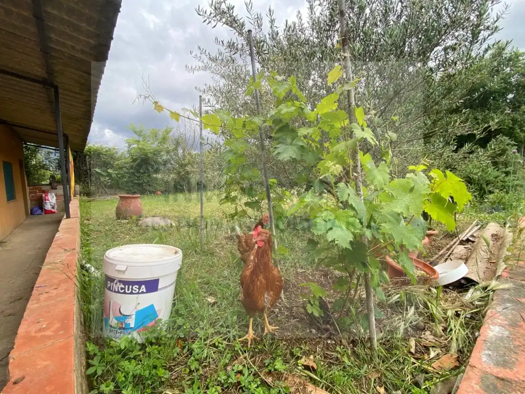Rustikales Grundstück zum Verkauf in Carretera Ctra. A Cassà De La Selva, imagen 6