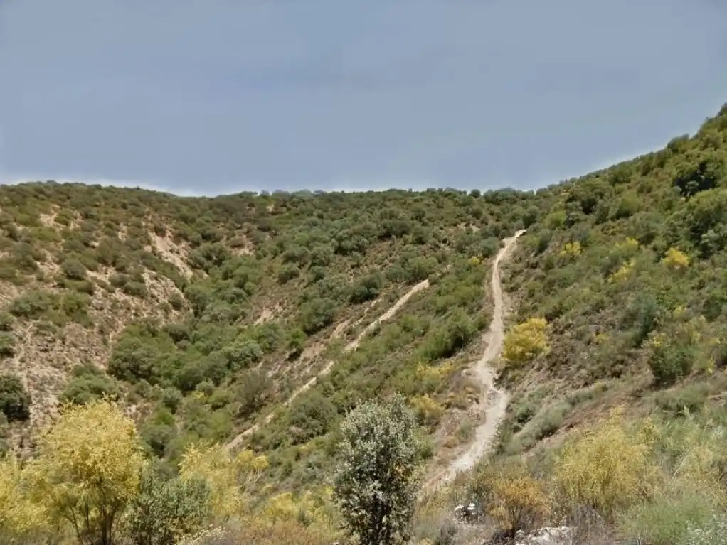 Rural land for sale in Ascó, imagen 2