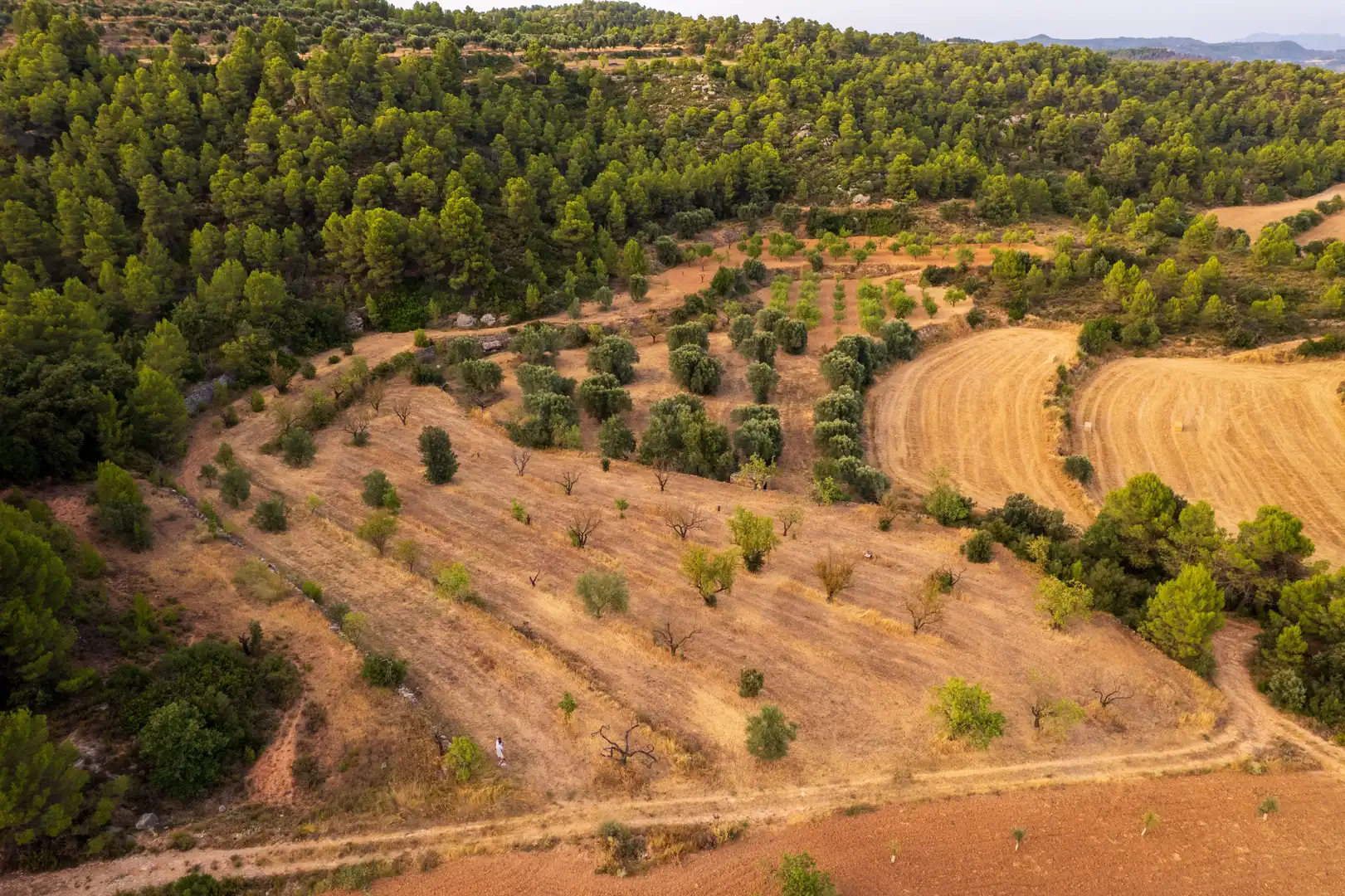 Terreni e lotti in vendita a Lledó, imagen 21