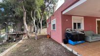 Garden of House or chalet for sale in Tibi