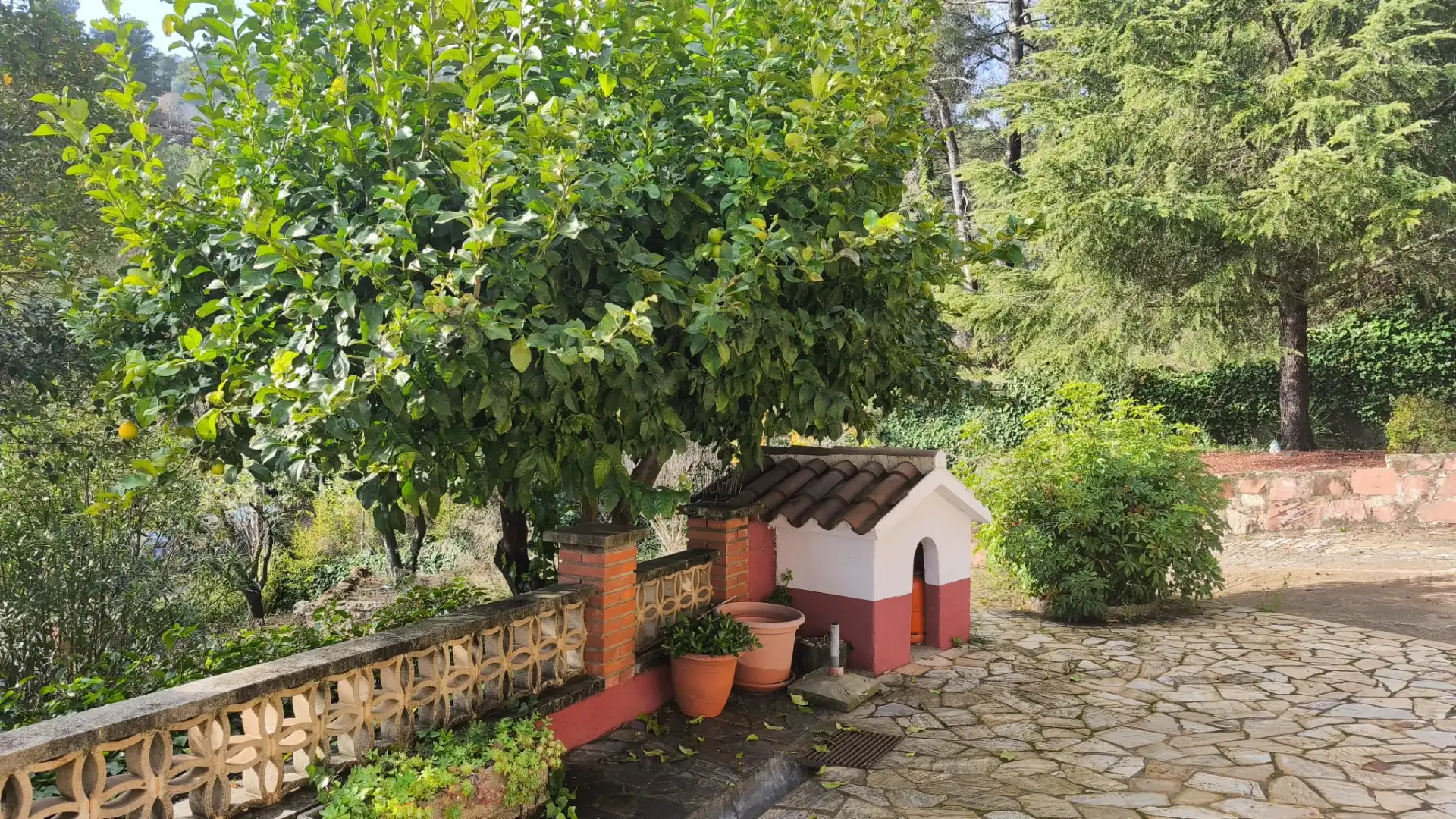 Jardí de Casa o xalet en venda en Cervelló amb Jardí privat, Terrassa i Piscina