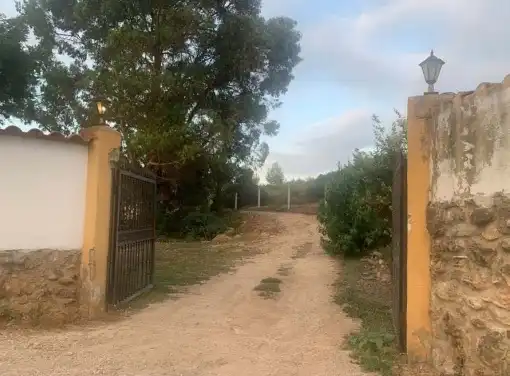 Rural land for sale in Partidas Fornas, Pol 11, imagen 9