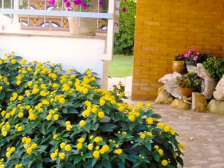 Casa con giardino in vendita a Avinguda Riells 1, imagen 24