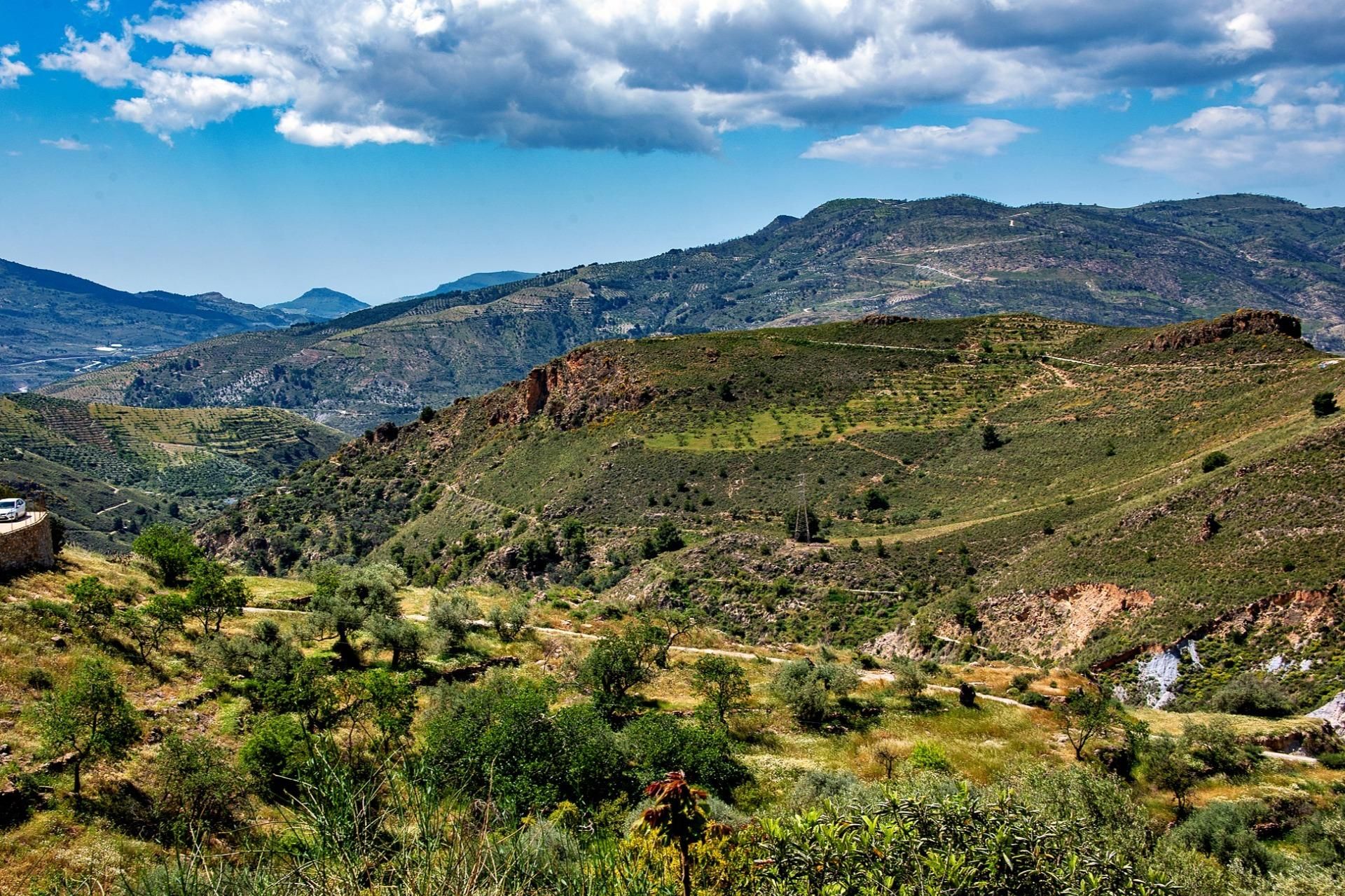 Finca rústica en venda a Calle Higueruelas pol 13, parc 7, Lanjarón