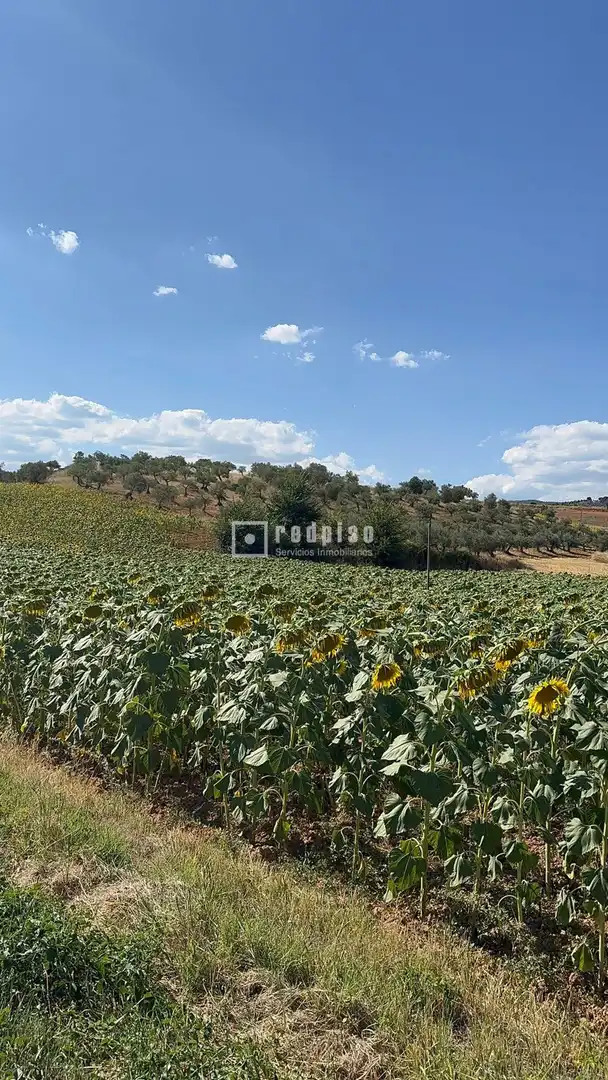 Houses for sale in Arbancón  with Air Conditioner, Heating and Terrace