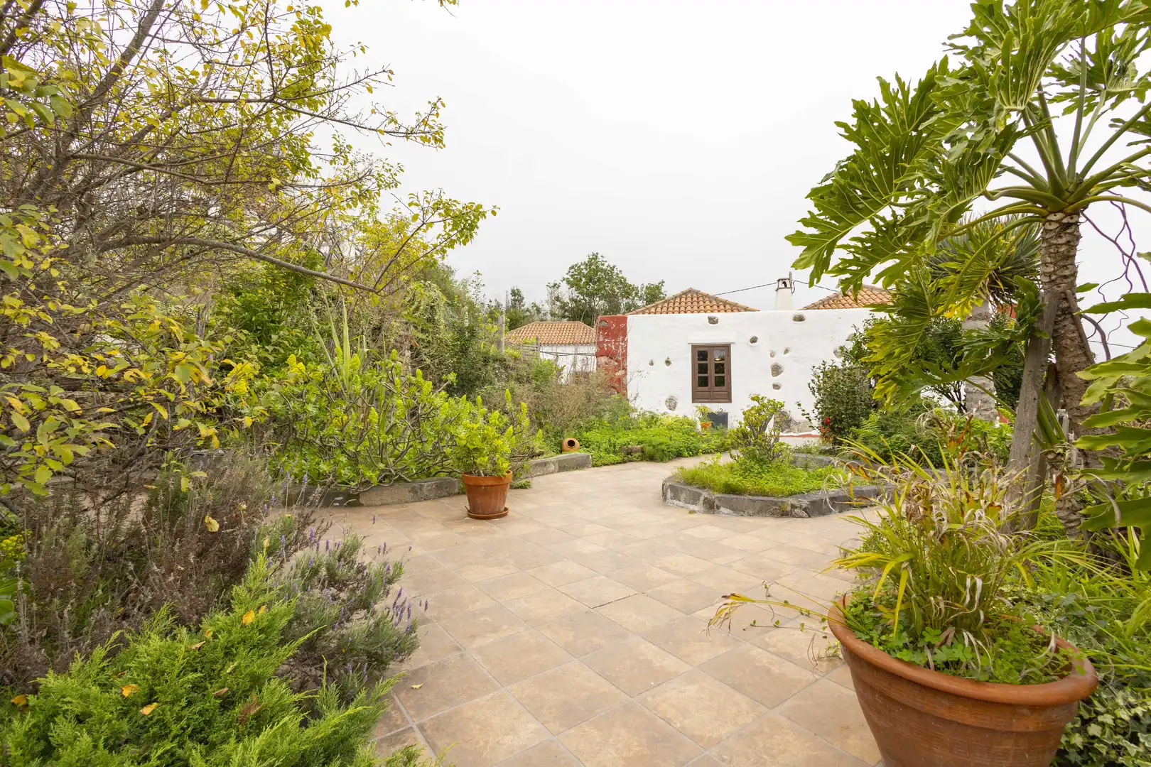 Finca rústica en venta en La Vega - El Amparo - Cueva del Viento