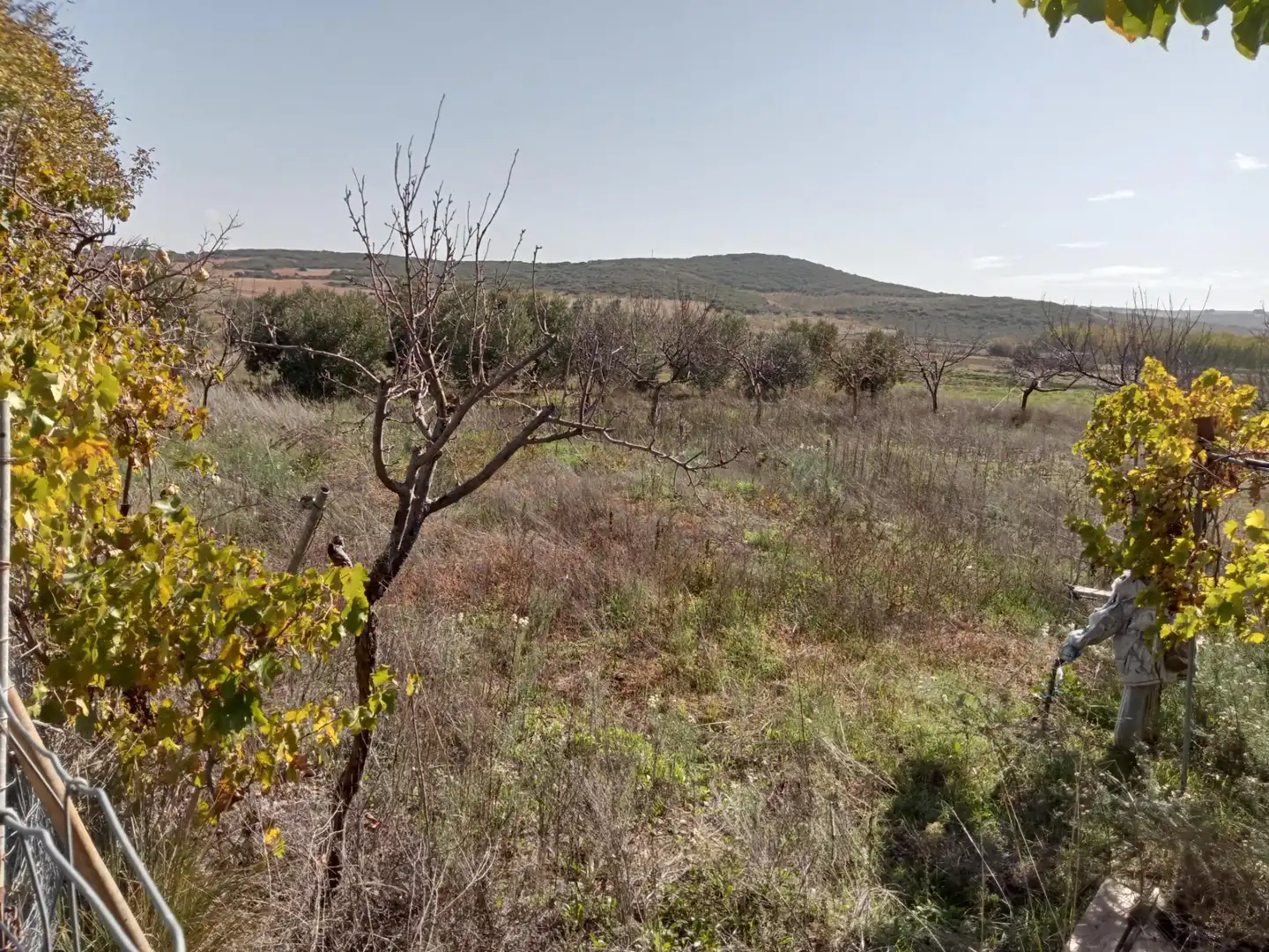 Casa o xalet en venda en Lezuza