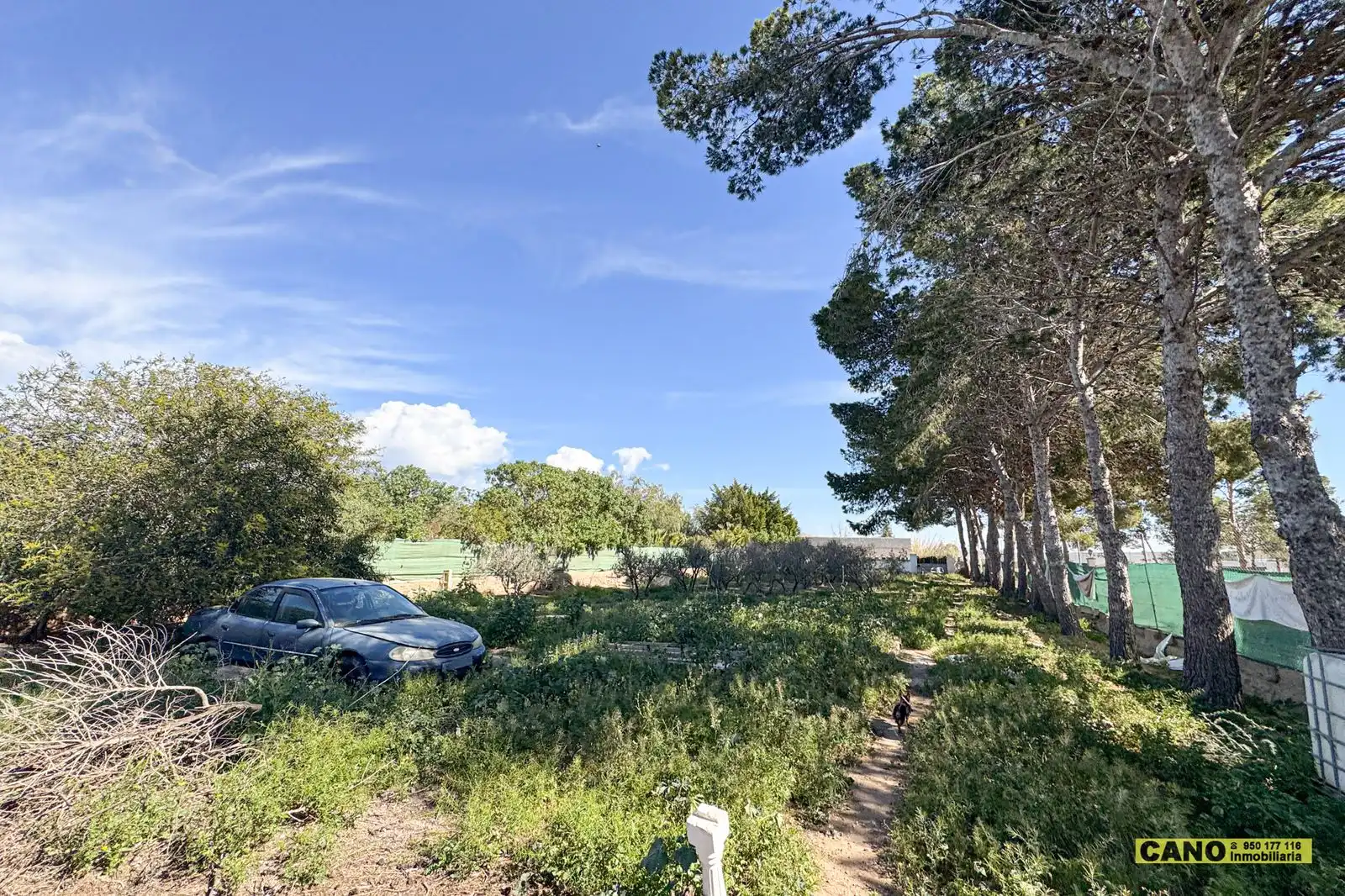 Casa o chalet en venta en Níjar con Piscina