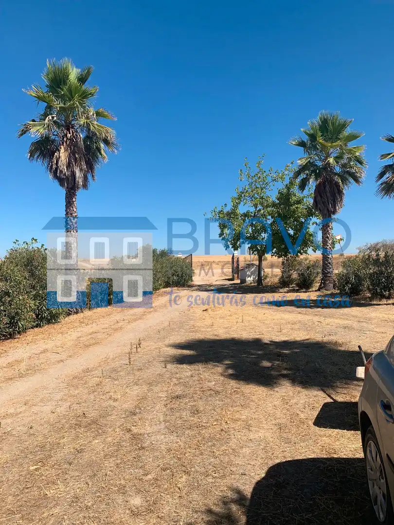 Chalet en venta en La Haba, imagen 35