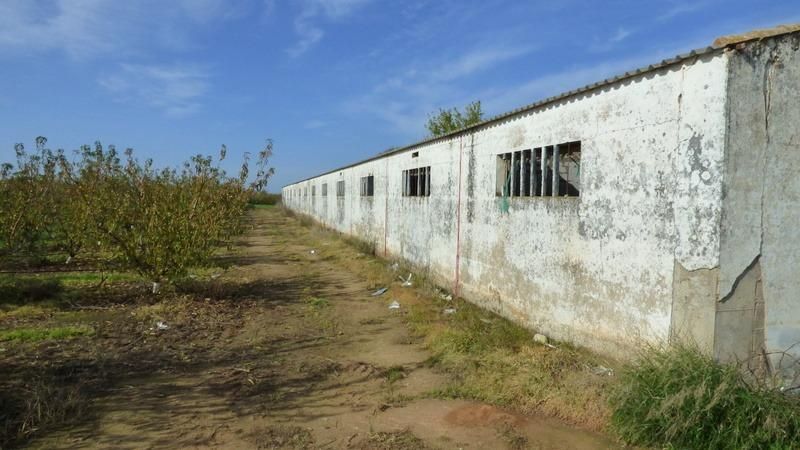 Vista exterior de Nave industrial en venta en Puebla de la Calzada