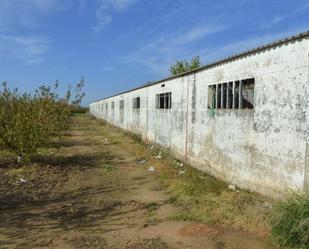 Exterior view of Industrial buildings for sale in Puebla de la Calzada