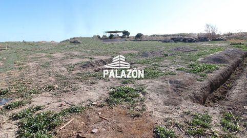 Finca rústica en venta en Catral Alicante, immagine 5