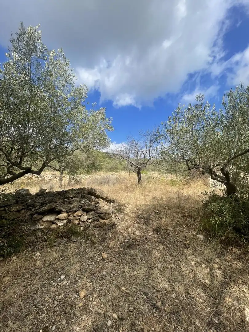 Terreno rústico en venta en L'Ametlla de Mar pueblo, imagen 8