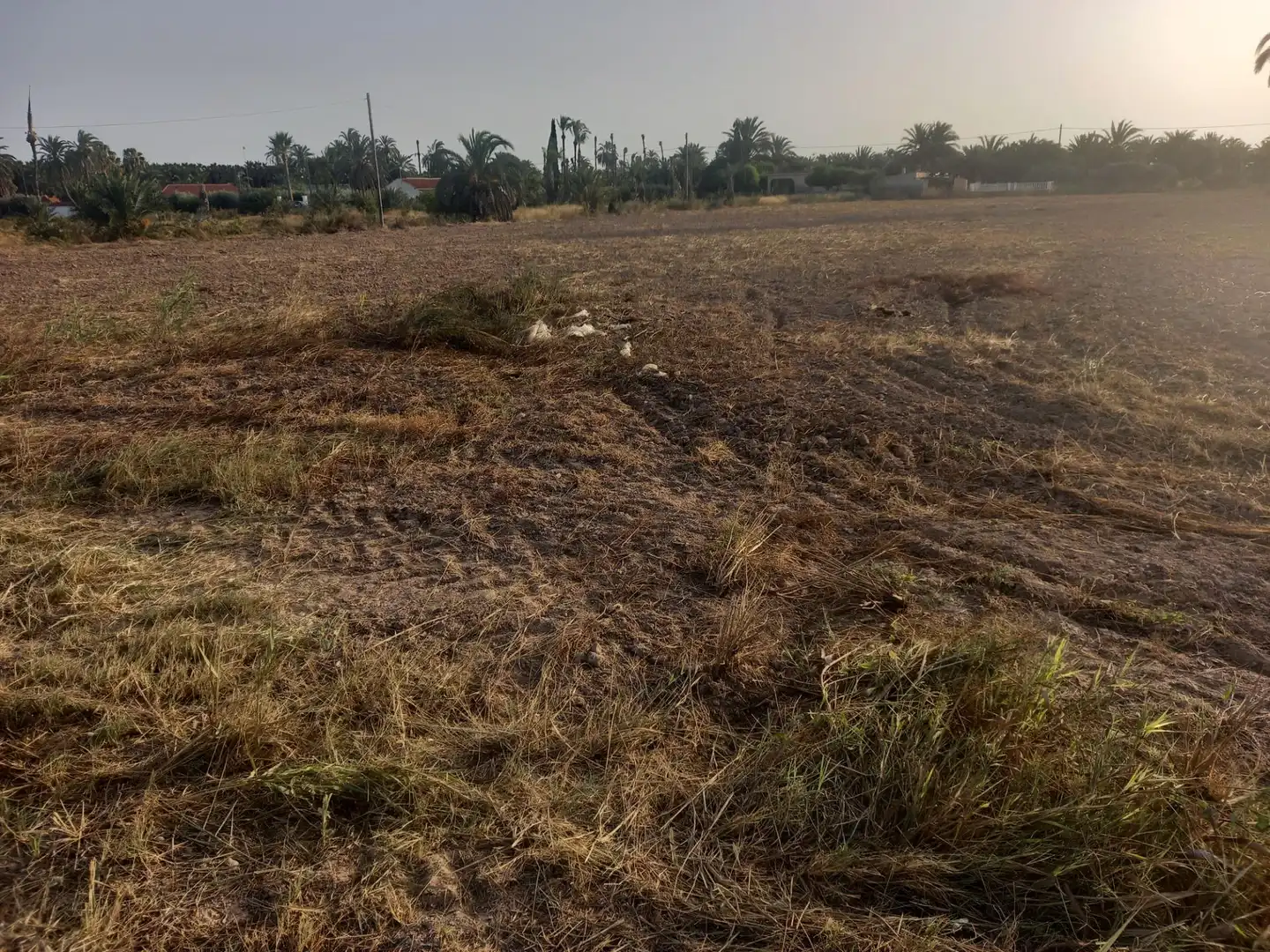 Casa o xalet en venda a La Foia - Daimés - Asprella