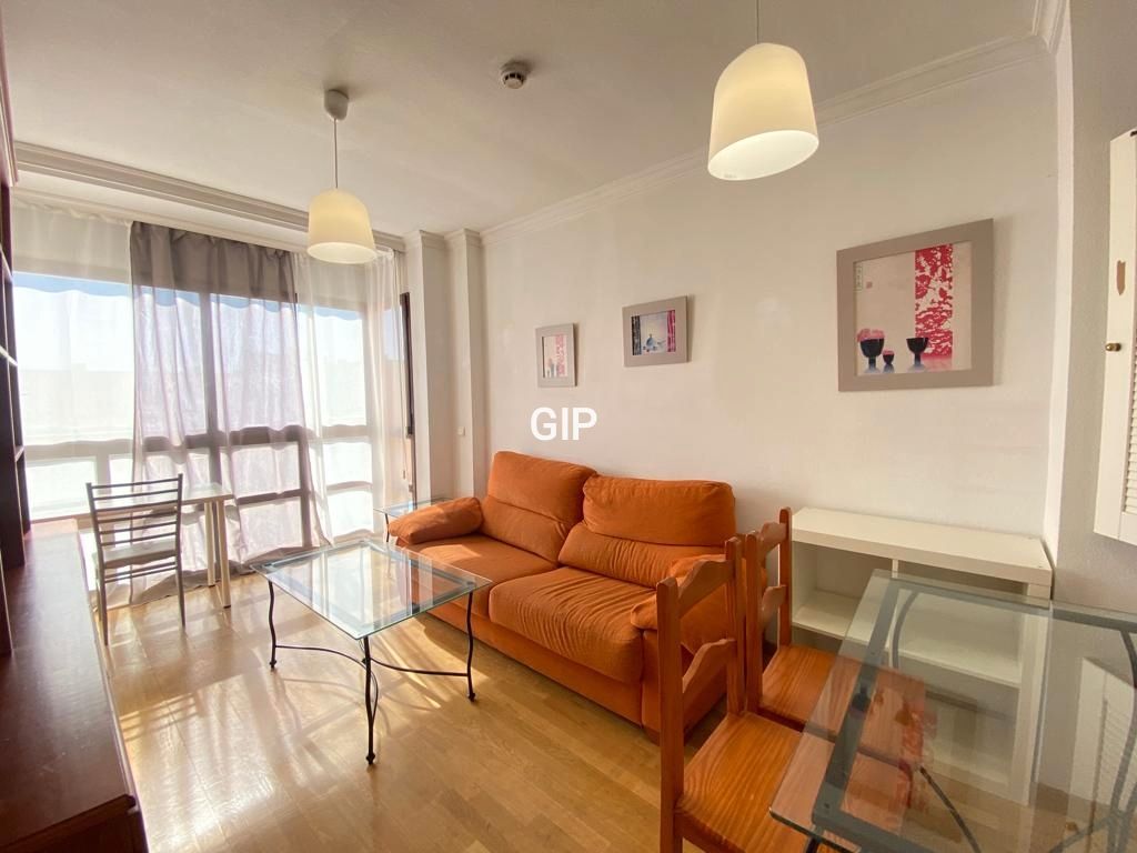 Sala d'estar de Apartament de lloguer en  Madrid Capital amb Aire condicionat, Calefacció i Parquet