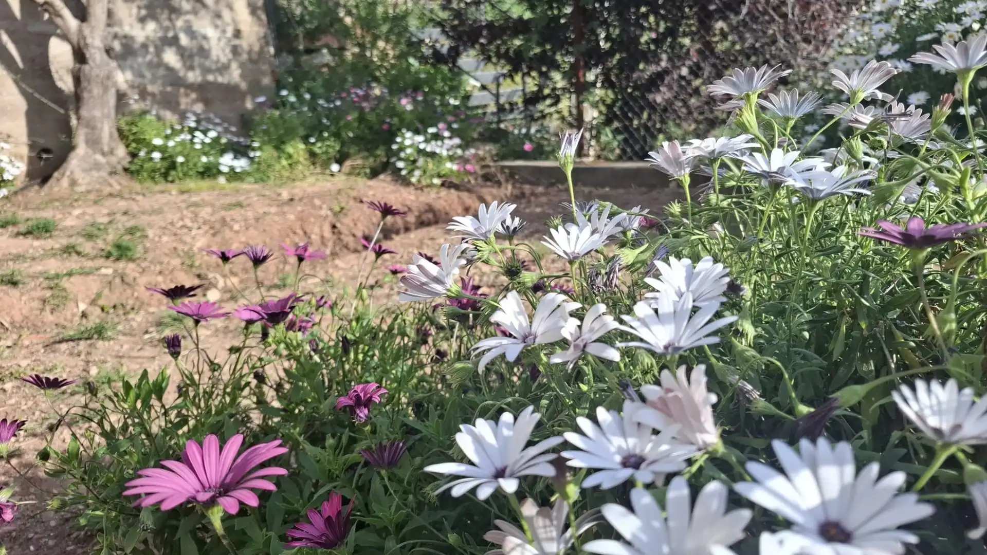 Jardí de Casa o xalet en venda en Vallirana amb Aire condicionat, Calefacció i Terrassa