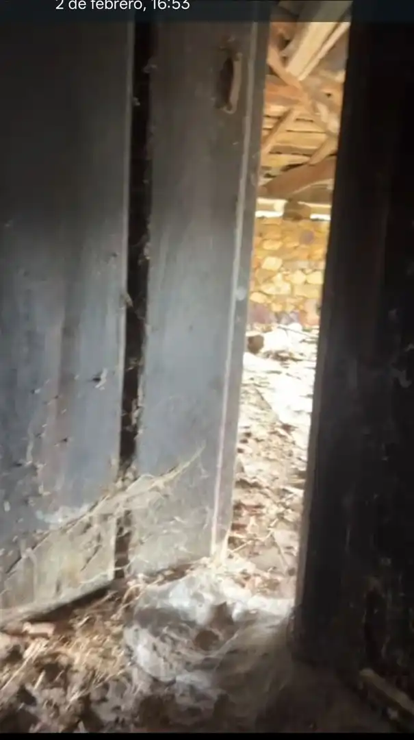 Casa o xalet en venda en Salas amb Terrassa i Piscina