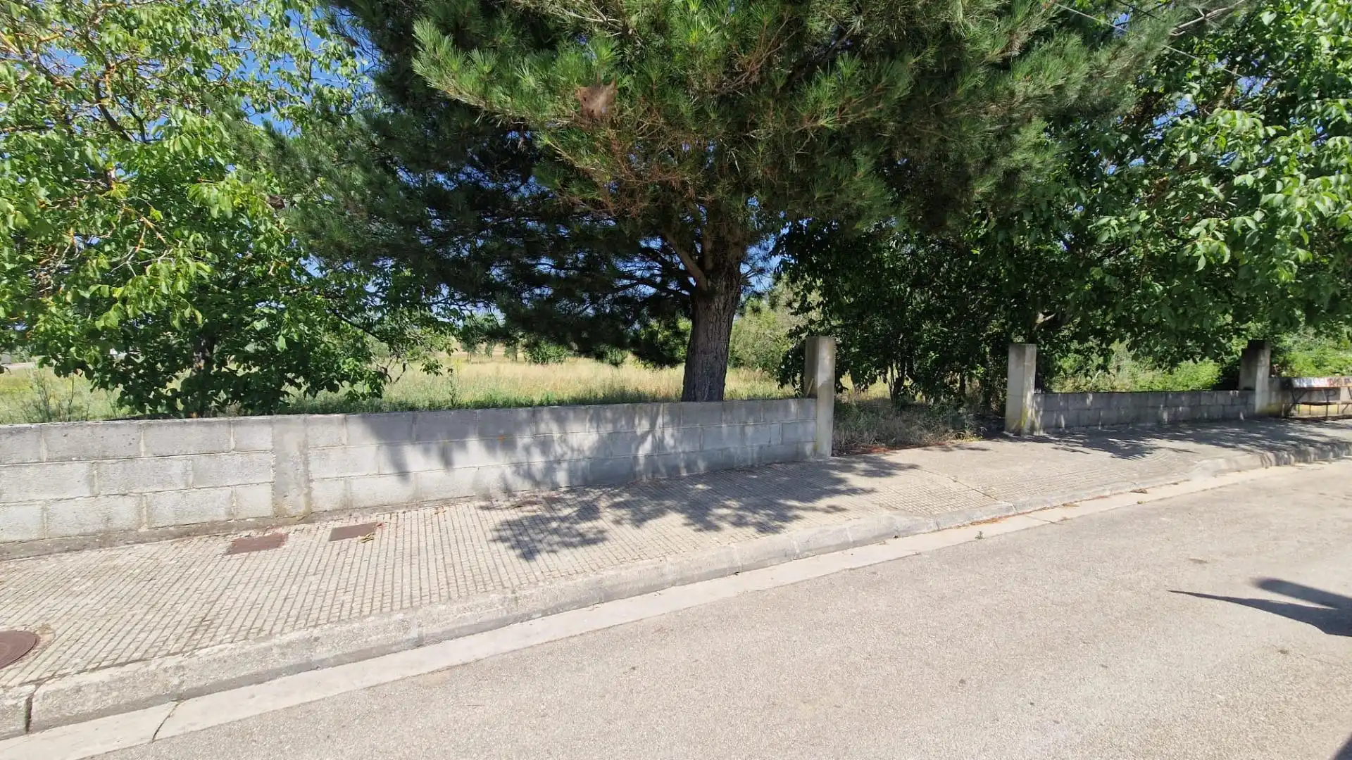 Terreni e lotti in vendita a Cubillos del Sil, imagen 3