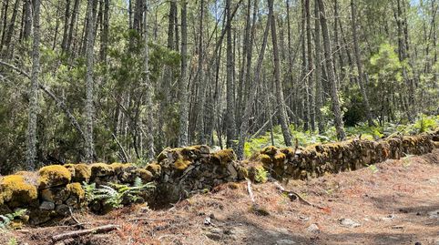 Foto 5 von Grundstücke zum Verkauf in N/a, -1, Arenas de San Pedro, Ávila