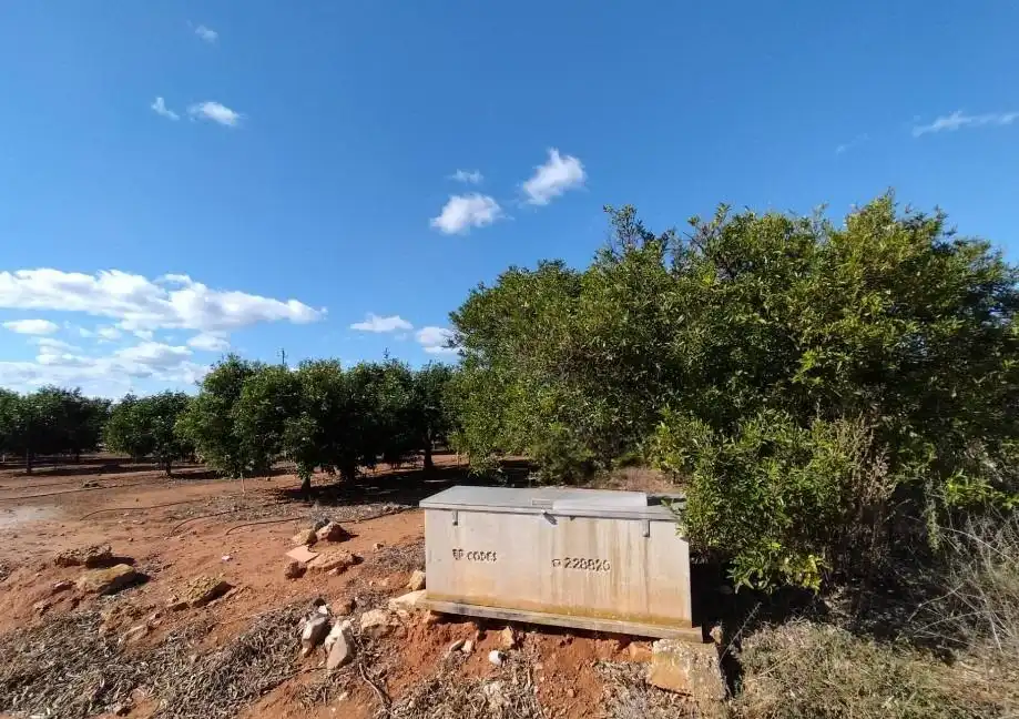 Rustikales Grundstück zum Verkauf in La Vall d'Uixó, imagen 3