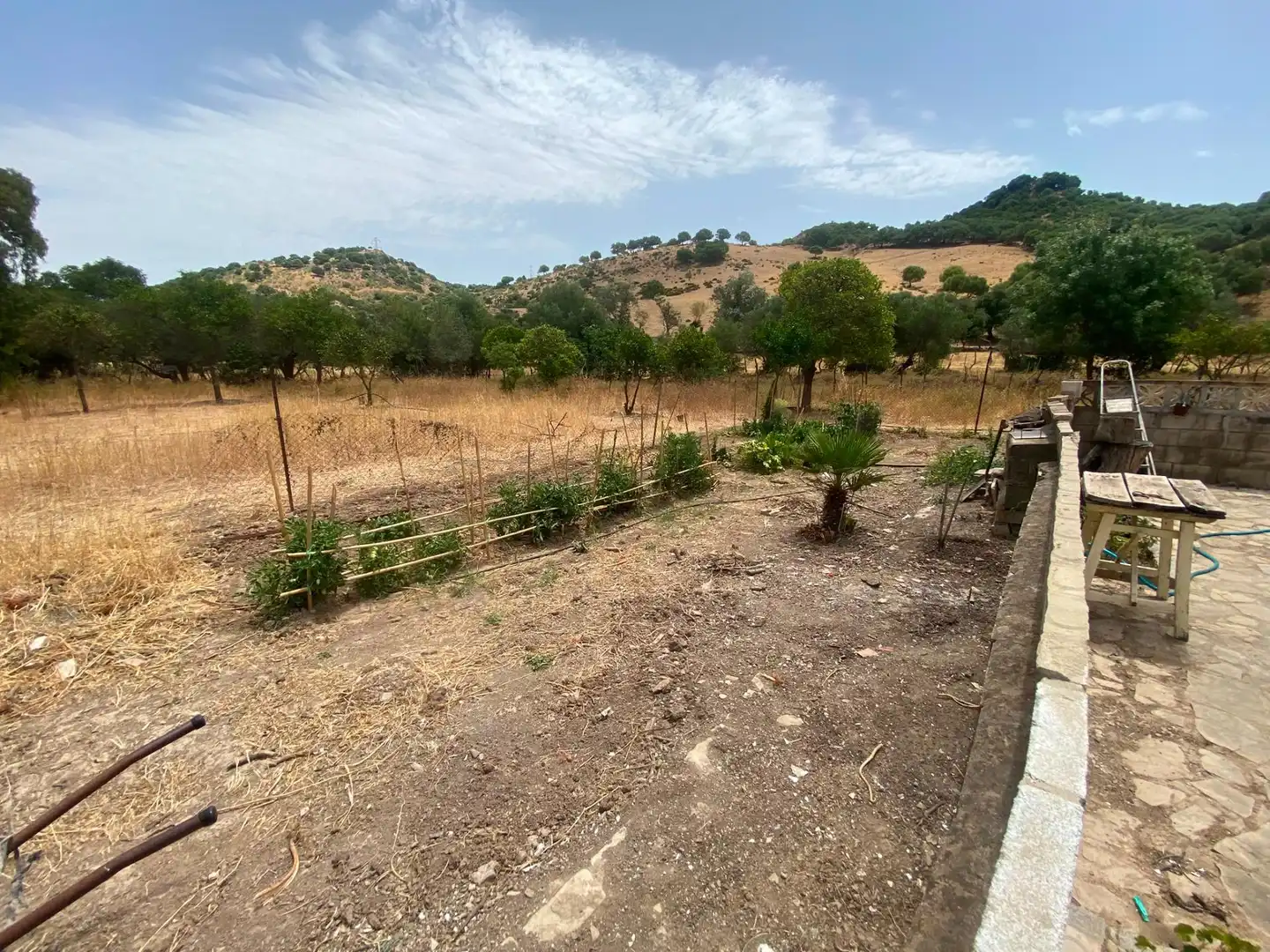 Terreni e lotti in vendita a Alcalá de los Gazules, imagen 3