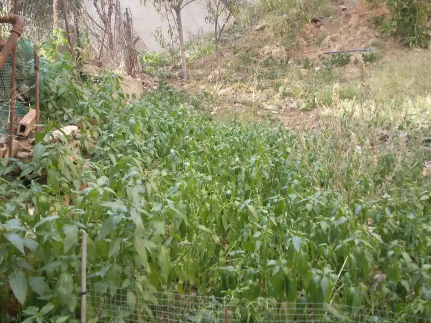 Terreno en venta en Barcelona