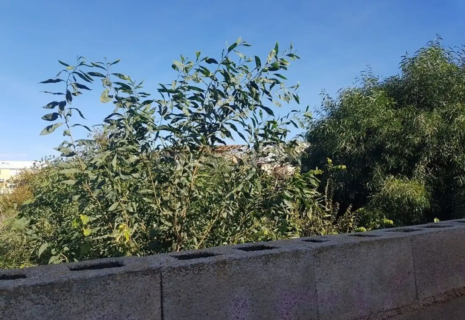 Terreno en venta en González, Garres y Lages