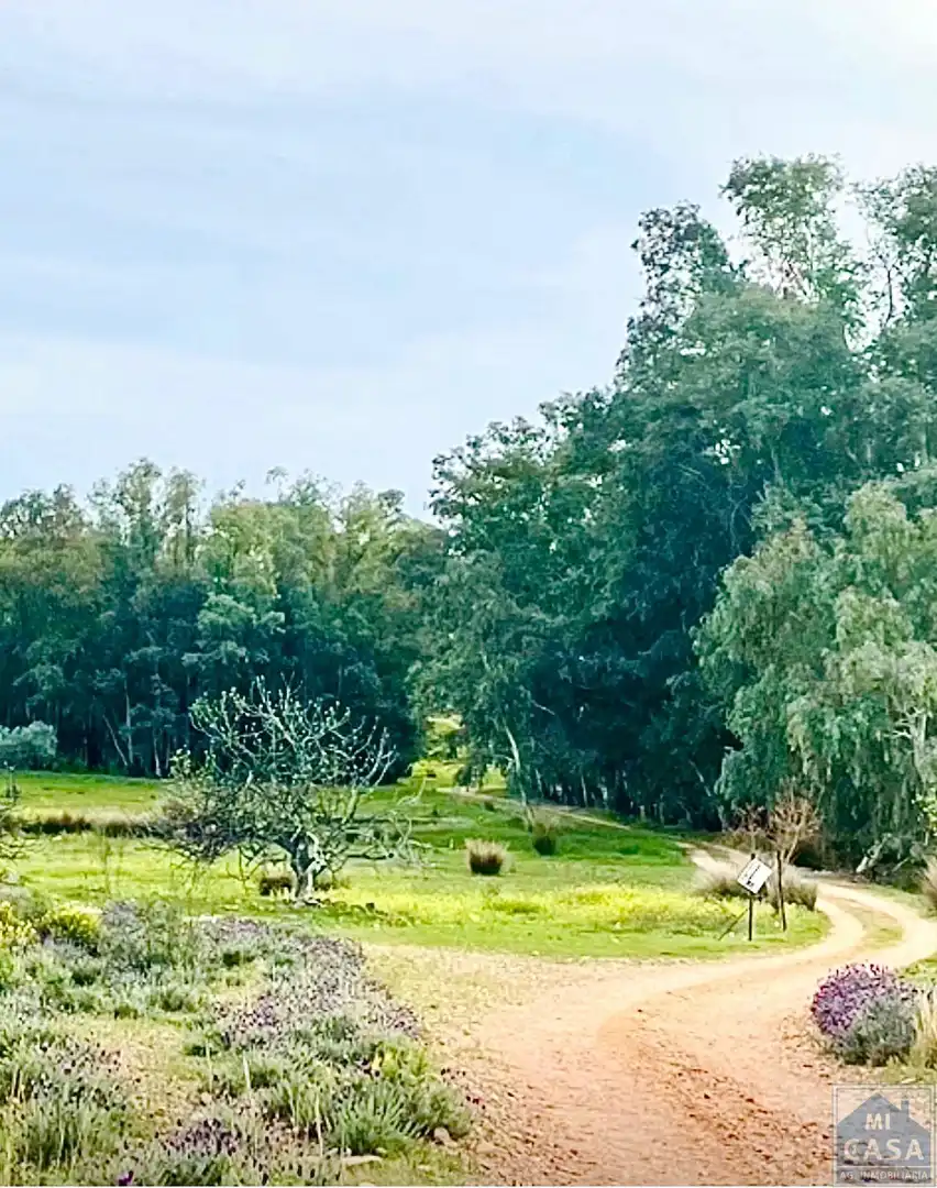 Terreni e lotti in vendita a Oeste