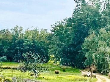 Terreni e lotti in vendita a Oeste