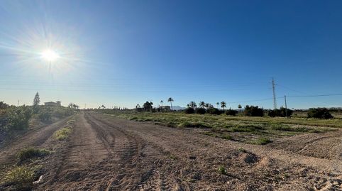 Foto 5 de Terreno en venta en Camí de Casas Juntas, Alzabares, Elche / Elx
