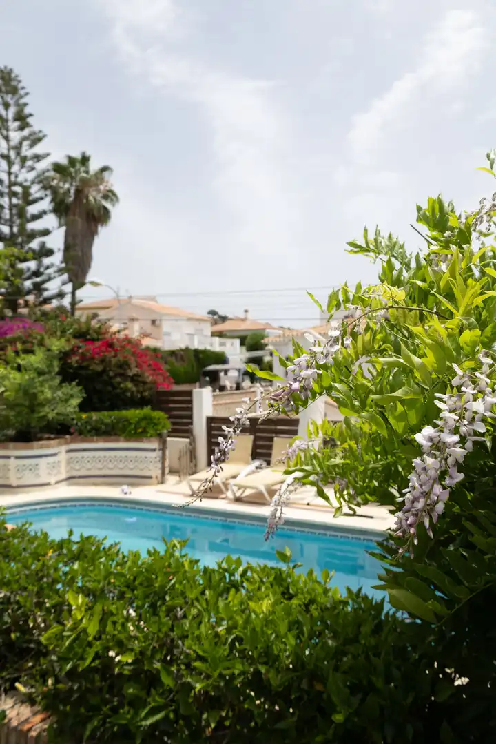 Swimming pool of Houses for rent in Vélez-Málaga  with Terrace