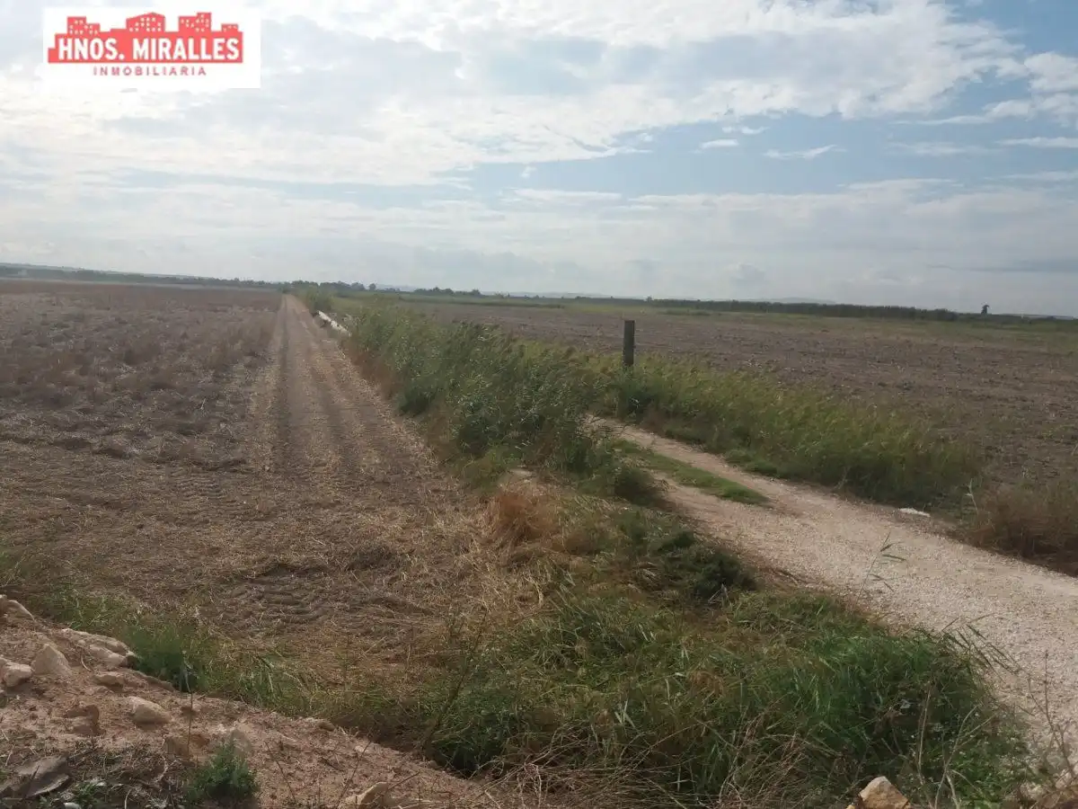 Terreno rustico in vendita a Dolores