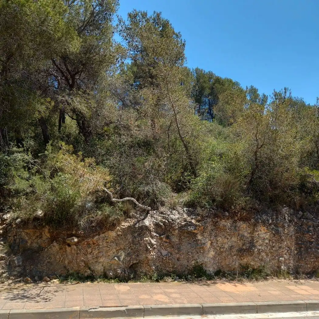 Residential zum Verkauf in Carrer de la Masia, 40, Mas Alba