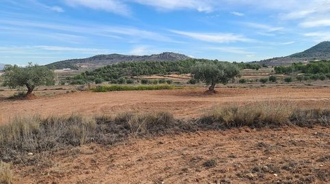 Terreno en venta en Pinoso., imagen 3